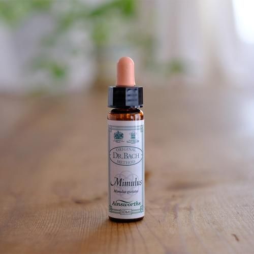 エインズワース バッチフラワーエッセンス10ml 40本キット