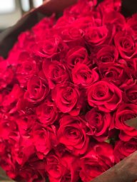 バラの花束「赤薔薇（12本）」