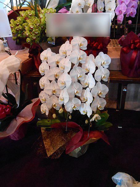 AGF オトメイト　当たり　ぜベネラ Fanema_Official on X