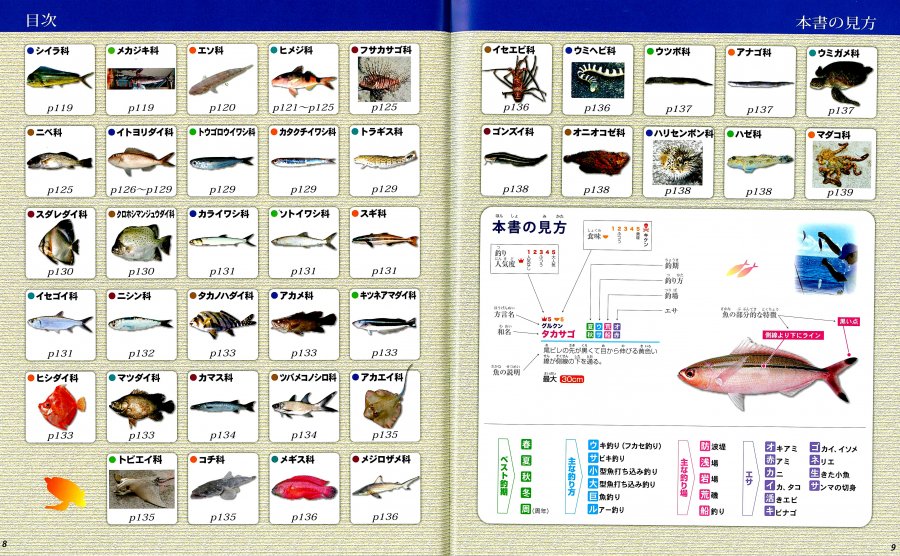 ぎょぎょ 釣り図鑑 - 沖縄を知る・見る・学ぶ 沖縄時事出版インターネット書籍販売