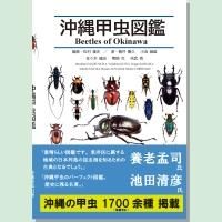 沖縄甲虫図鑑　Beetles of Okinawa - 沖縄を知る・見る・学ぶ　　沖縄時事出版インターネット書籍販売