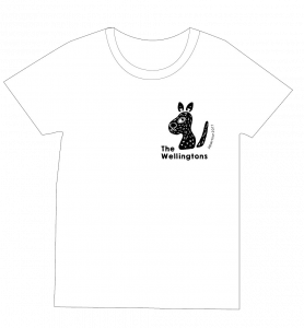 The Wellingtons Japan Tour 2017ڥݥTġ