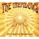 The Meadows / First Nervous Breakdown