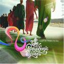 The Polyphonic Spree / Together We're Heavy