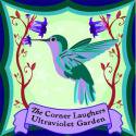The Corner Laughers / Ultraviolet Garden