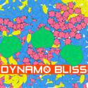 Dynamo Bliss / Poplar Music (CD-R)