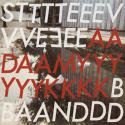 Steve Adamyk Band / III （国内盤CD）