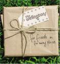 The Wellingtons / For Friends In Far Away Places