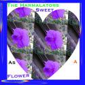 The Harmalators / Sweet As A Flower (CD-R)