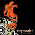 Intercooler / Forever Or Whatever