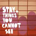 Stay / Things You Cannot See