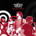 The Waking Hours / How Does It Feel