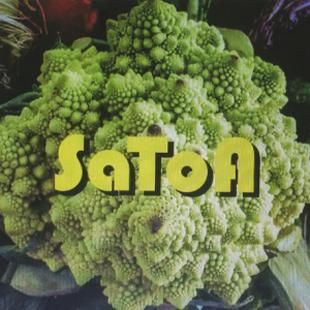 送料込　SaToA   自主制作盤CD-R　新品 SaToA / SaToA (CD-R) - THISTIME ONLINE STORE // 日本唯一のパワー