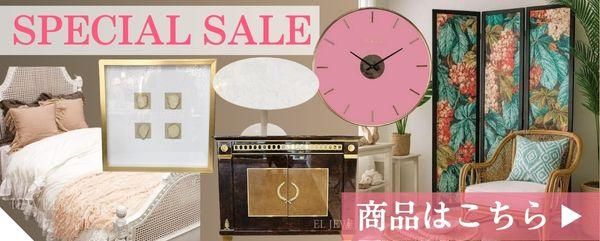 期間限定!SPECIAL SALE