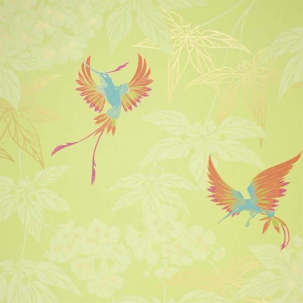 ڳʡ͢ɻWALLPAPER ALBUM 7OSBORNE&LITTLE ѹGrove Gardenס52cmҡ10m