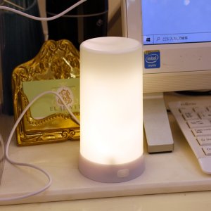 【即納可！】LEDファイヤーグロウライト（W13cm）