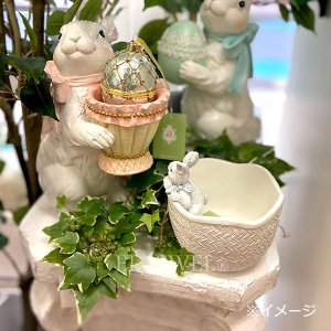 ¨Ǽġۥӡ ɥ  ꥲȥ꡼L30cm<img class='new_mark_img2' src='https://img.shop-pro.jp/img/new/icons1.gif' style='border:none;display:inline;margin:0px;padding:0px;width:auto;' />