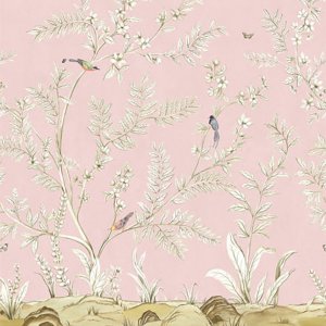 㳤ʢDaisy Bennett Mural CollectionVining Beauty Mural - Rose Petal (204cm305cm)<img class='new_mark_img2' src='https://img.shop-pro.jp/img/new/icons1.gif' style='border:none;display:inline;margin:0px;padding:0px;width:auto;' />