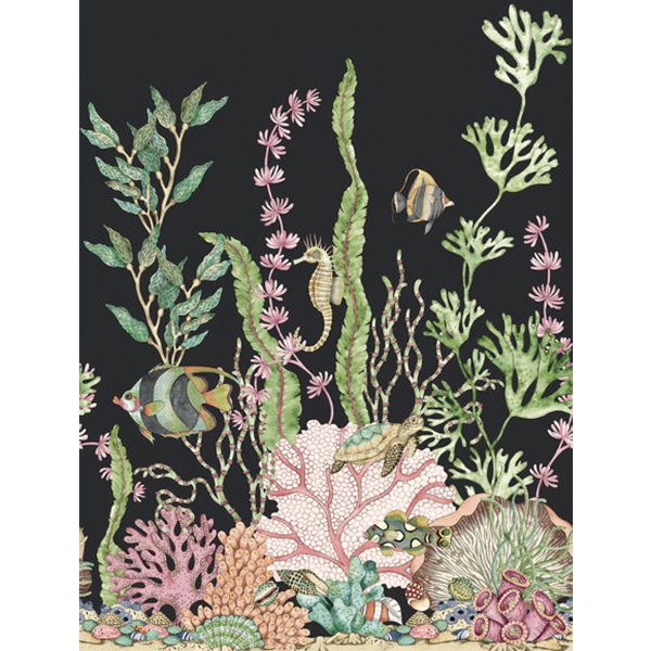 㳤ʢDaisy Bennett Mural CollectionNautical Mural - Noir (204cm305cm) 