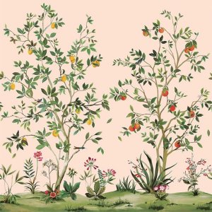 㳤ʢDaisy Bennett Mural CollectionCitrus Grove Mural - Blush (274cm305cm)<img class='new_mark_img2' src='https://img.shop-pro.jp/img/new/icons1.gif' style='border:none;display:inline;margin:0px;padding:0px;width:auto;' />