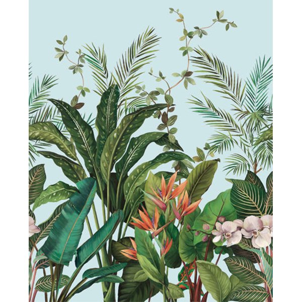 㳤ʢDaisy Bennett Mural CollectionBird of Paradise Mural - Azure Blue (204cm305cm) 