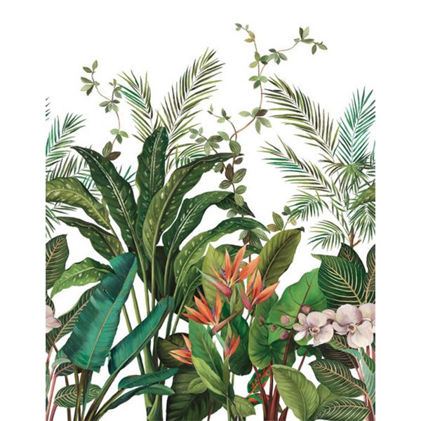 㳤ʢDaisy Bennett Mural CollectionBird of Paradise Mural - White (204cm305cm) 