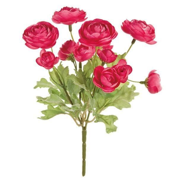 ¨Ǽġۥʥ֥å åɡL20W13cm 