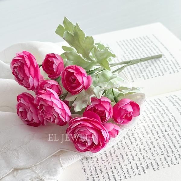 ¨Ǽġۥʥ֥å åɡL20W13cm 