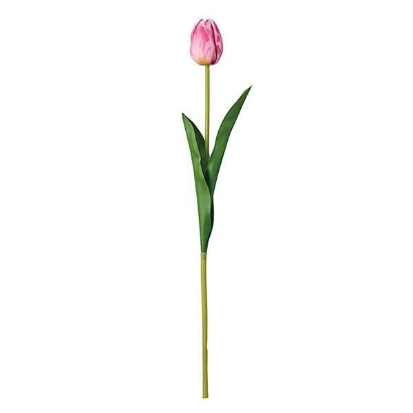 ¨Ǽġۥե塼åסԥ 4ܥåȡL48W10cm 