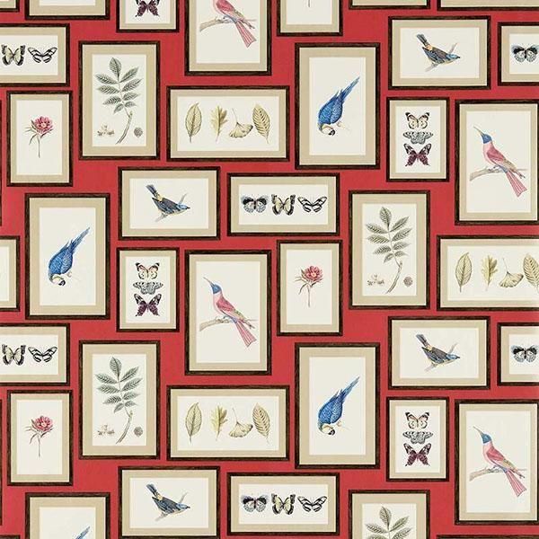 ڳʡ͢ɻVOYAGE OF DISCOVERY WALLPAPERSSanderson ѹPicture Galleryס68.6mҡ10m