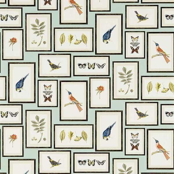 ڳʡ͢ɻVOYAGE OF DISCOVERY WALLPAPERSSanderson ѹPicture Galleryס68.6mҡ10m