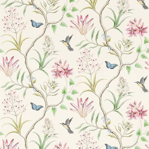 ڳʡ͢ɻVOYAGE OF DISCOVERY WALLPAPERSSanderson ѹClementineס68.6mҡ10m