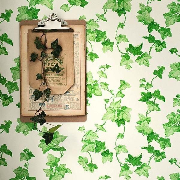 ڳʡ͢ɻVINTAGE WALLPAPERS IISanderson ѹHederaס52mҡ10m