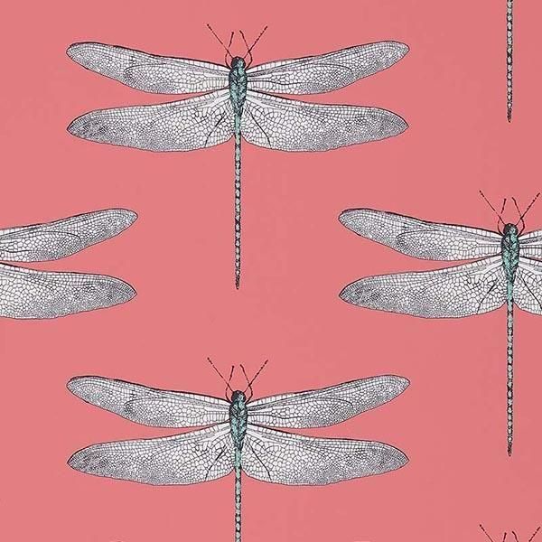 ڳʡ͢ɻPALMETTO WALLCOVERINGSHARLEQUIN ꥹDemoiselleס52cmҡ10m 