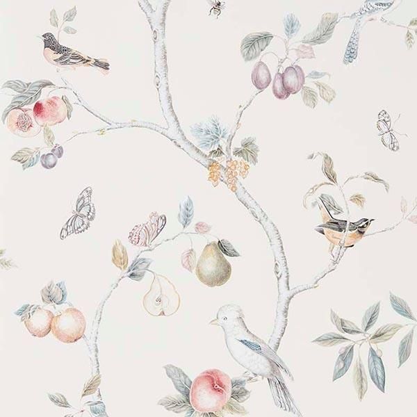 ڳʡ͢ɻART OF THE GARDEN WALLPAPERSSanderson ѹFruit Aviaryס68.6mҡ10m