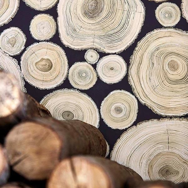 ڳʡ͢ɻEMBLETON BAY WALLPAPERSSanderson ѹAlnwick Logsס68.6mҡ10m