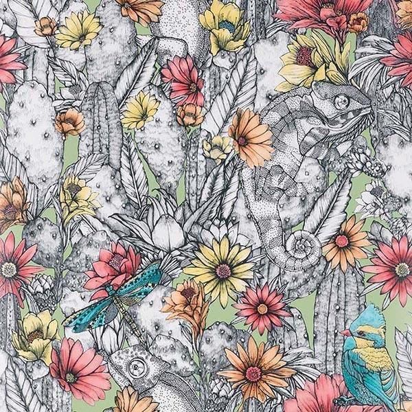ڳʡ͢ɻDEYA WALLPAPERSMatthew Williamson ѹCactus Gardenס53cmҡ10m