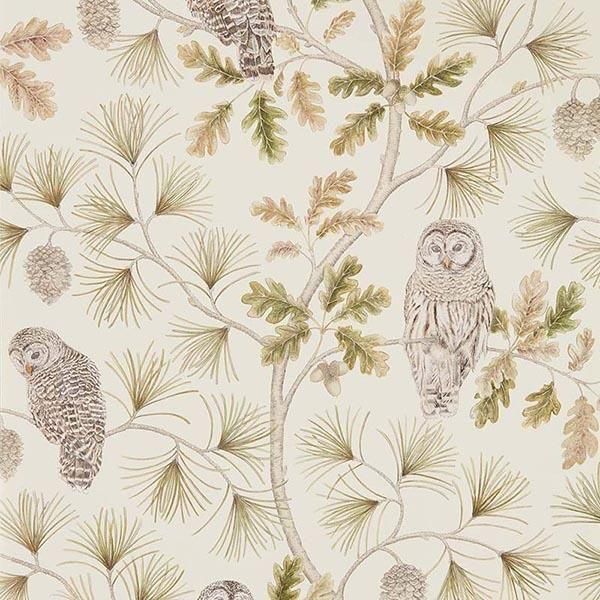 ڳʡ͢ɻELYSIAN WALLPAPERSSanderson ѹOwlswickס68.6mҡ10m