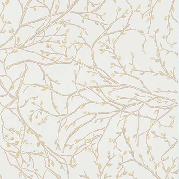ڳʡ ͢ɻ FOLIUM WALLPAPERS OSBORNE&LITTLE ѹ Twiggyס52cmҡ10m