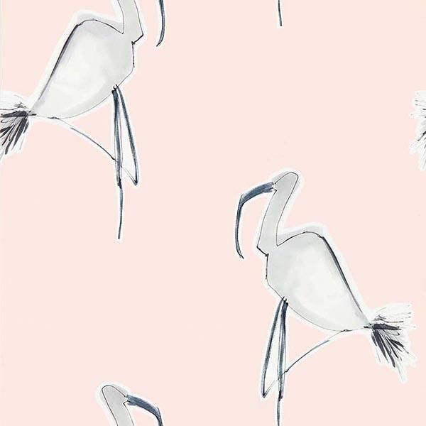 ڳʡ͢ɻZANZIBAR WALLPAPERscion ѹZanzibarס52cmҡ10m