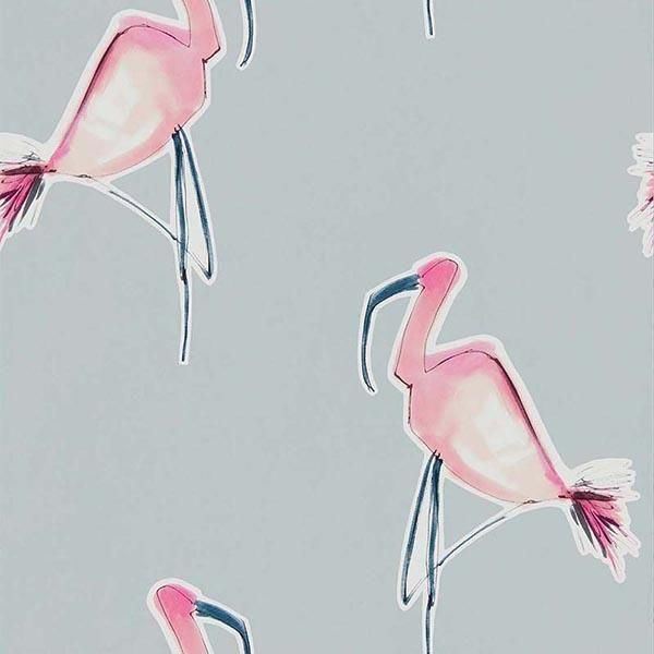 ڳʡ͢ɻZANZIBAR WALLPAPERscion ѹZanzibarס52cmҡ10m