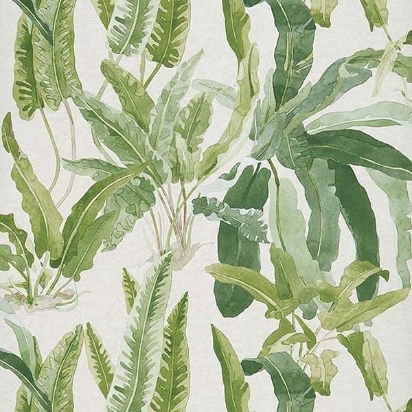 ڳʡ ͢ɻ ASHDOWN WALLPAPERS Nina Campbell ѹ Benmoreס68.5cmҡ10m