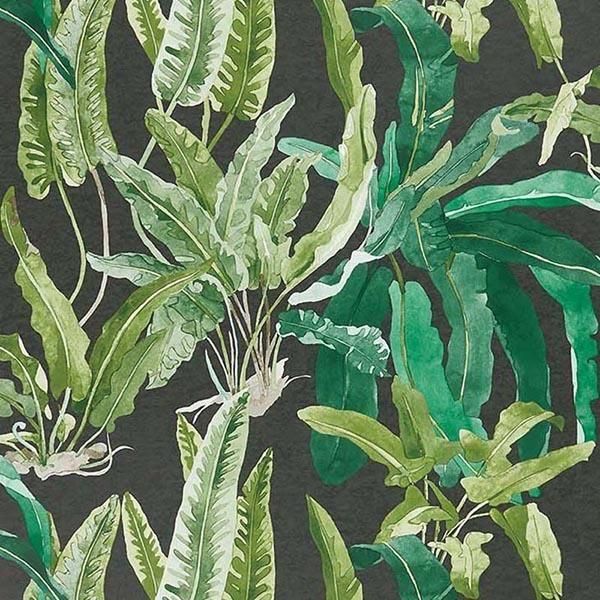ڳʡ ͢ɻ ASHDOWN WALLPAPERS Nina Campbell ѹ Benmoreס68.5cmҡ10m