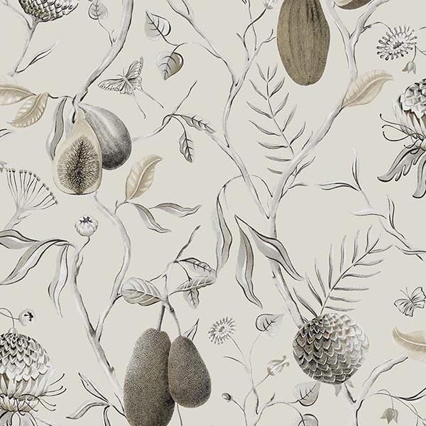 ڳʡ ͢ɻ CABINET OF CURIOSITIESMASUREEL(KHRÔMA) ٥륮 Papayaס53cmҡ10m