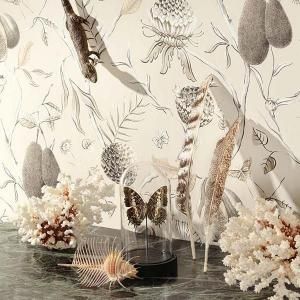 ڳʡ ͢ɻ CABINET OF CURIOSITIESMASUREEL(KHRÔMA) ٥륮 Papayaס53cmҡ10m
