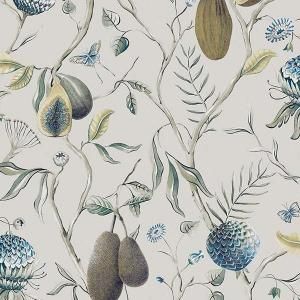ڳʡ ͢ɻ CABINET OF CURIOSITIESMASUREEL(KHRÔMA) ٥륮 Papayaס53cmҡ10m