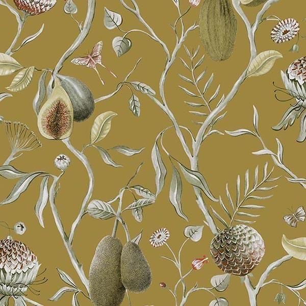 ڳʡ ͢ɻ CABINET OF CURIOSITIESMASUREEL(KHRÔMA) ٥륮 Papayaס53cmҡ10m