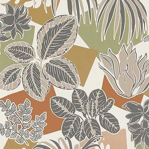 ڳʡ ͢ɻ IRISA WALLPAPERS OSBORNE&LITTLE ѹ Frondosoס52cmҡ10m