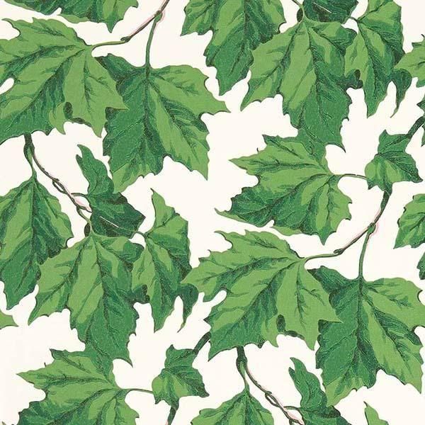 ڳʡ͢ɻHARLEQUIN X SOPHIE ROBINSON WALLPAPERSHARLEQUIN ꥹDappled Leafס52cmҡ10m