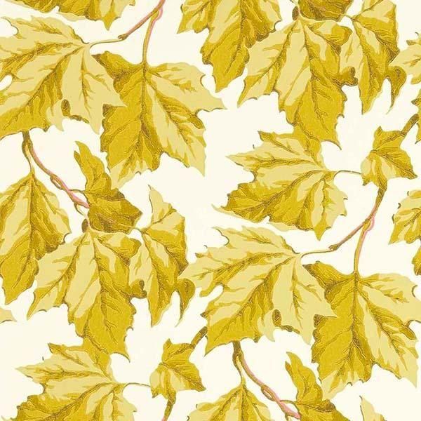 ڳʡ͢ɻHARLEQUIN X SOPHIE ROBINSON WALLPAPERSHARLEQUIN ꥹDappled Leafס52cmҡ10m